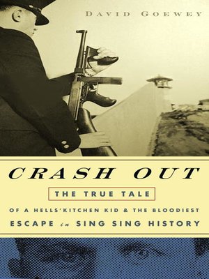 cover image of Crash Out